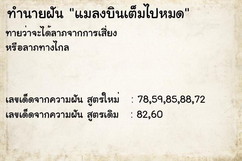 ทำนายฝัน แมลงบินเต็มไปหมด