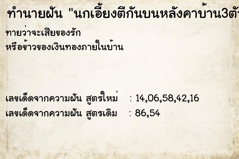 ทำนายฝัน นกเอี้ยงตีกันบนหลังคาบ้าน3ตัวรุนแรงมาก