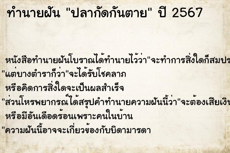 ทำนายฝัน ปลากัดกันตาย