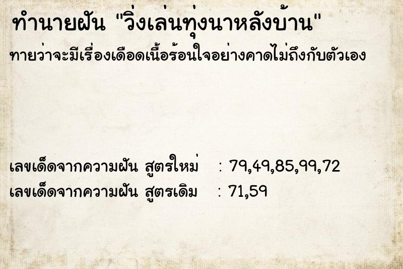 ทำนายฝัน วิ่งเล่นทุ่งนาหลังบ้าน