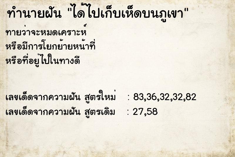 ทำนายฝัน ได้ไปเก็บเห็ดบนภูเขา