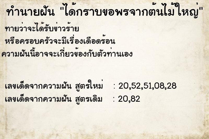 ทำนายฝัน ได้กราบขอพรจากต้นไม้ใหญ่