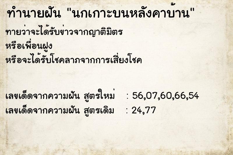 ทำนายฝัน นกเกาะบนหลังคาบ้าน