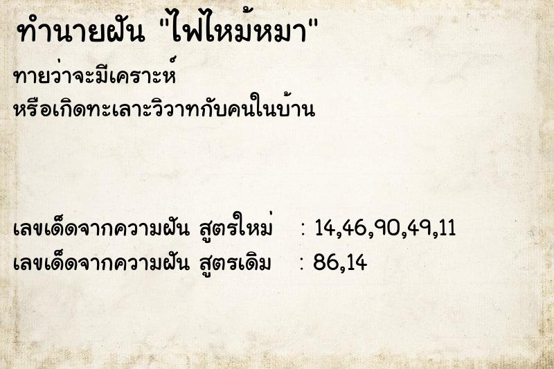 ทำนายฝัน ไฟไหม้หมา  เลขนำโชค 