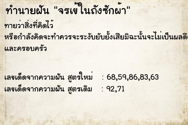 ทำนายฝัน จรเข้ในถังซักผ้า