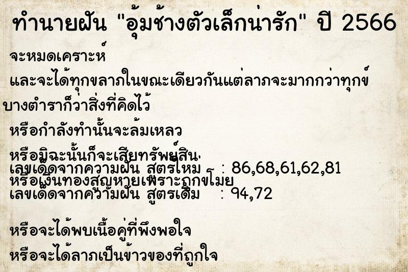 ทำนายฝัน #ทำนายฝัน #อุ้มช้างตัวเล็กน่ารัก  เลขนำโชค 