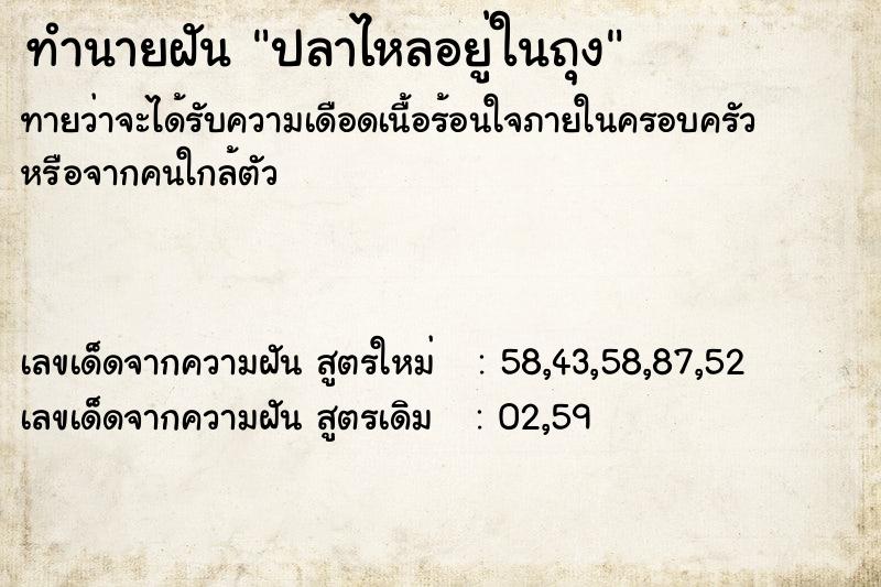 ทำนายฝัน ปลาไหลอยู่ในถุง