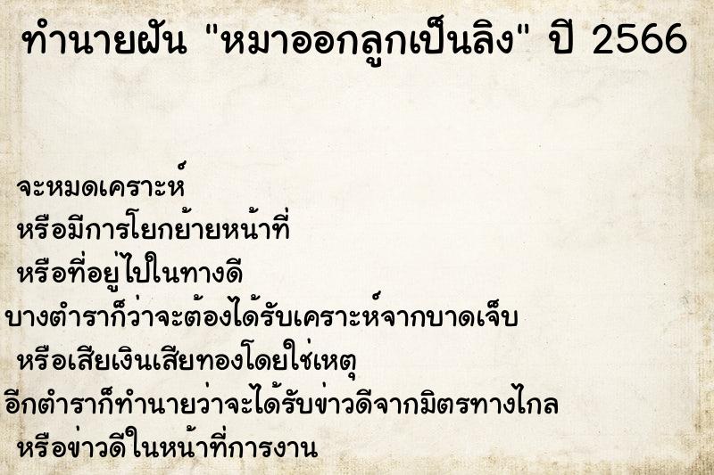 ทำนายฝัน หมาออกลูกเป็นลิง