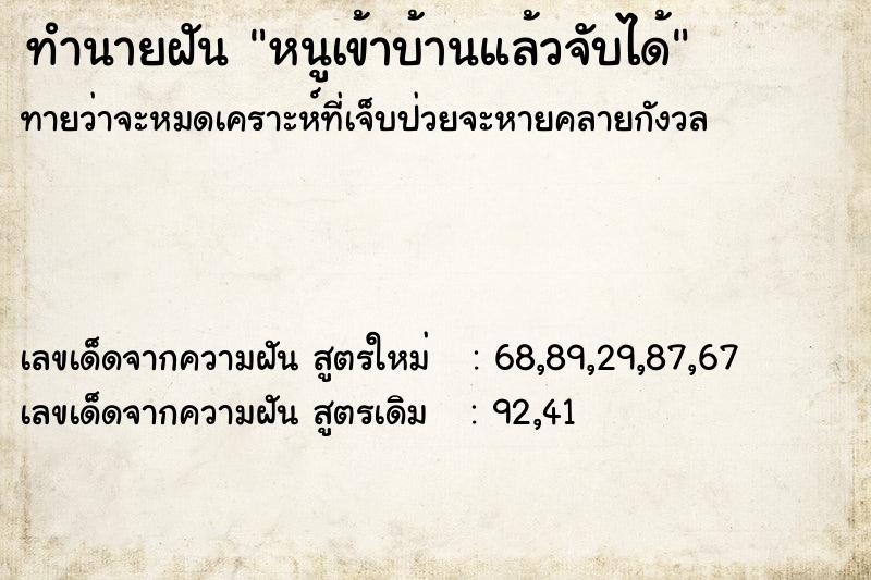 ทำนายฝัน หนูเข้าบ้านแล้วจับได้