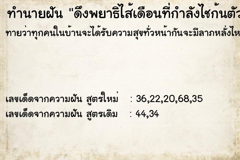 ทำนายฝัน ดึงพยาธิไส้เดือนที่กำลังไชก้นตัวเองออกมา  เลขนำโชค 