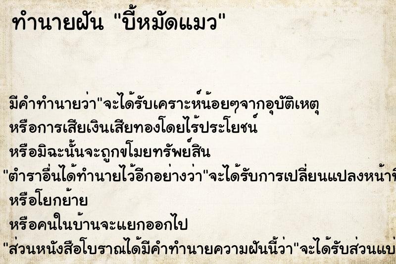 ทำนายฝัน บี้หมัดแมว