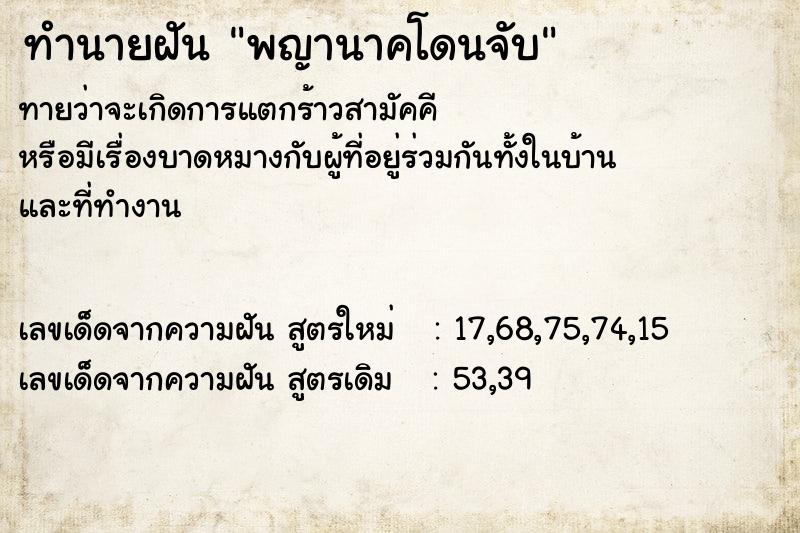 ทำนายฝัน พญานาคโดนจับ