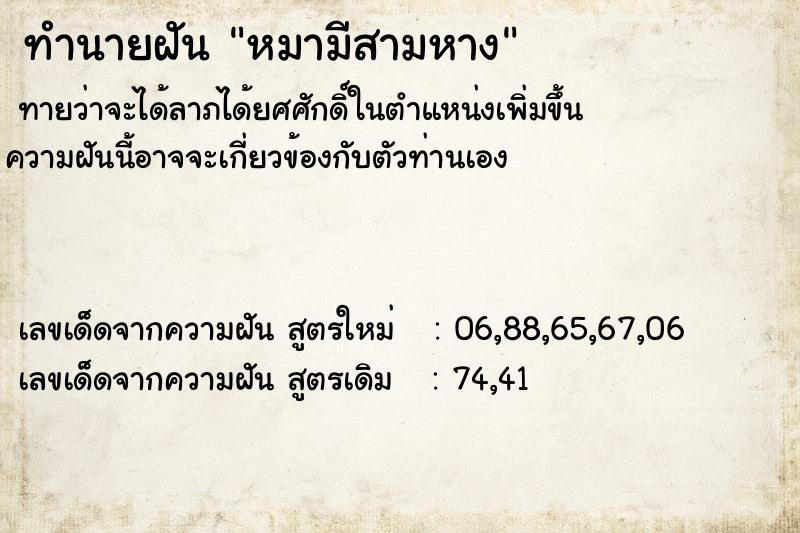 ทำนายฝัน หมามีสามหาง