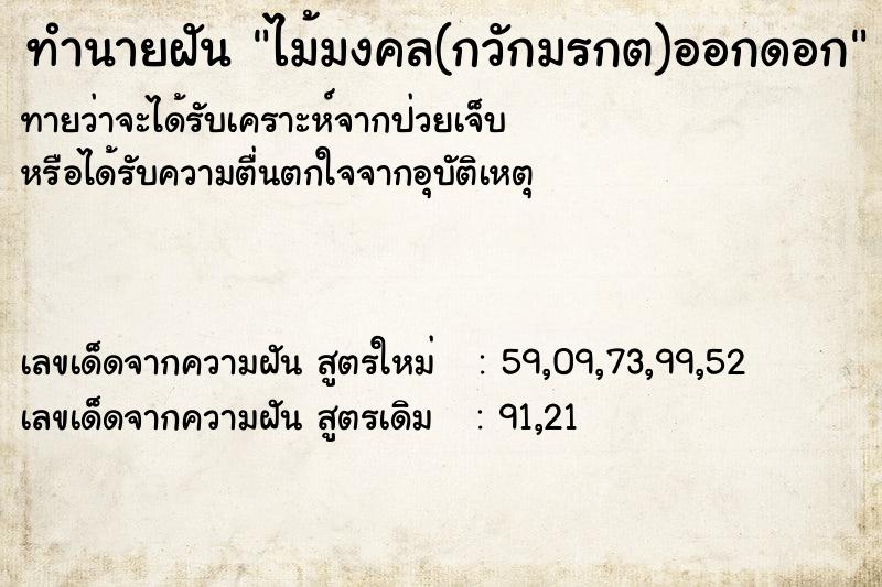 ทำนายฝัน ไม้มงคล(กวักมรกต)ออกดอก