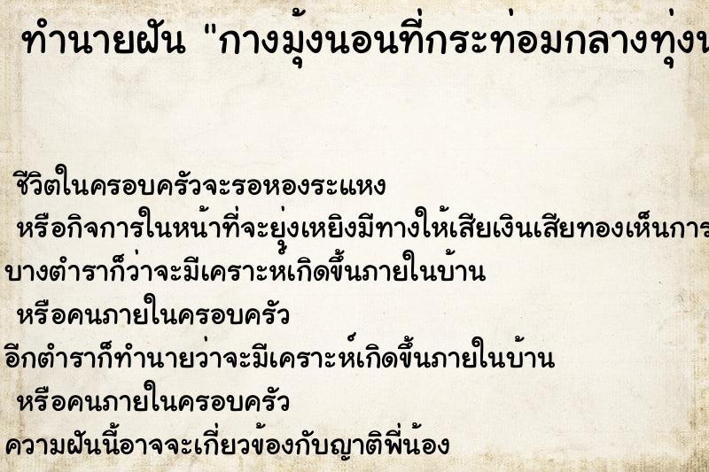 ทำนายฝัน กางมุ้งนอนที่กระท่อมกลางทุ่งนากับแฟน