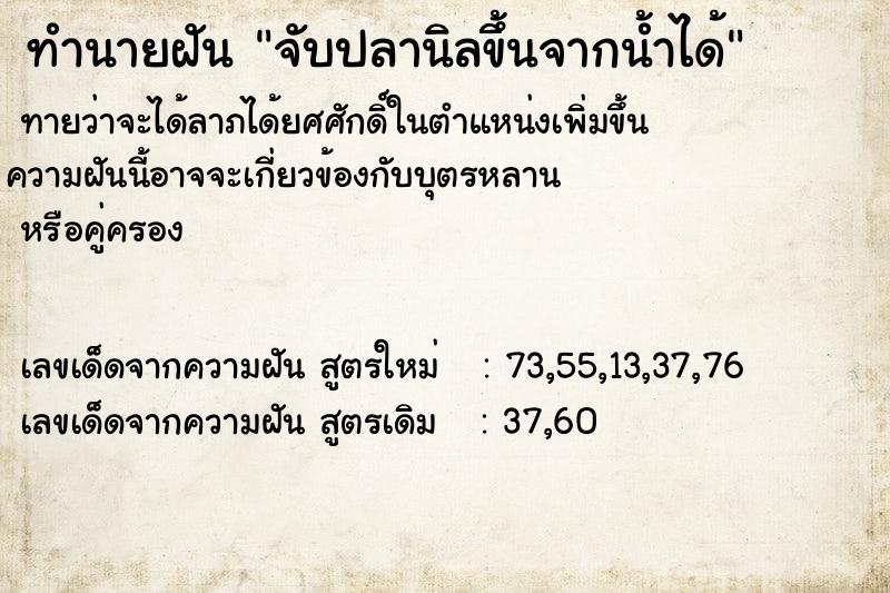 ทำนายฝัน จับปลานิลขึ้นจากน้ำได้