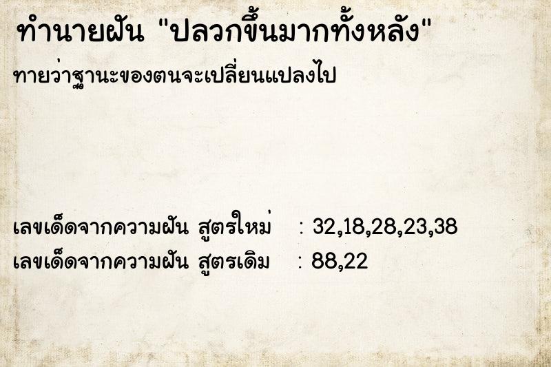 ทำนายฝัน ปลวกขึ้นมากทั้งหลัง