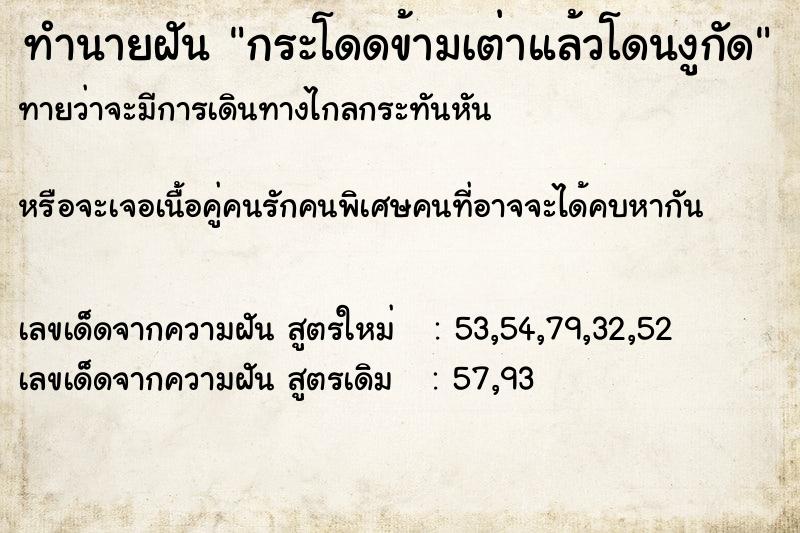 ทำนายฝัน กระโดดข้ามเต่าแล้วโดนงูกัด