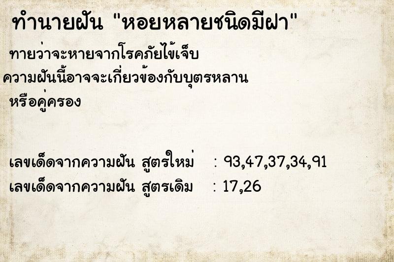 ทำนายฝัน หอยหลายชนิดมีฝา