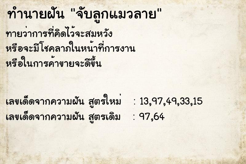 ทำนายฝัน จับลูกแมวลาย