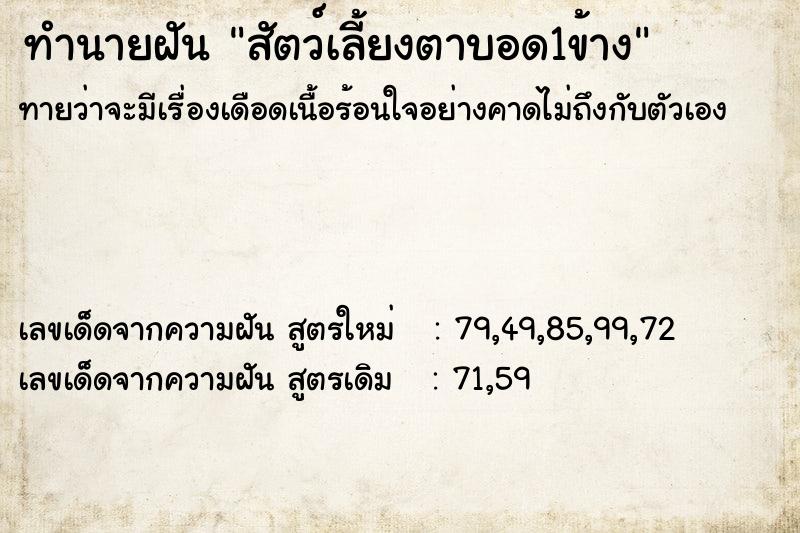 ทำนายฝัน สัตว์เลี้ยงตาบอด1ข้าง