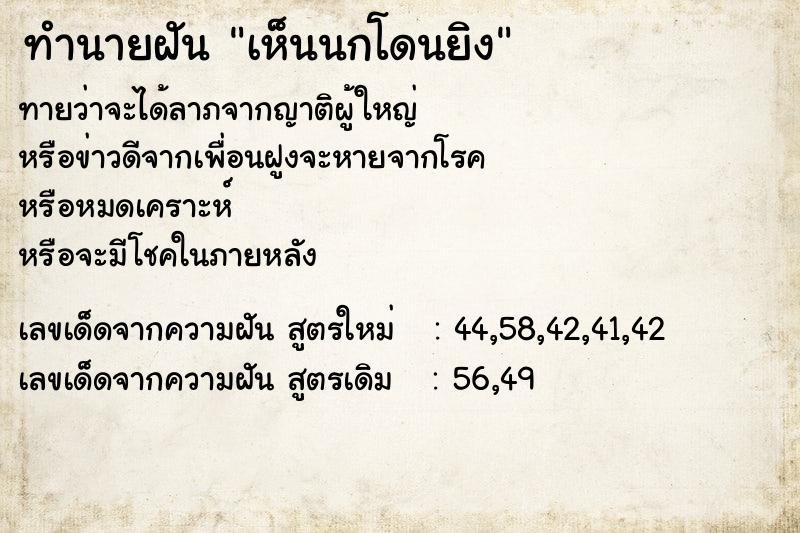 ทำนายฝัน เห็นนกโดนยิง  เลขนำโชค 