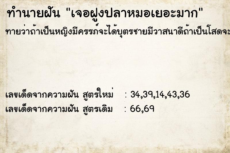 ทำนายฝัน เจอฝูงปลาหมอเยอะมาก