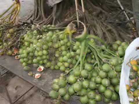 นนทบุรี_เมตตาธรรม