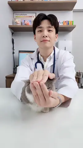 ⭐️ คนติดตามเยอะ อันดับ97 อุด้งงงง ลูกกกก นักแสดงไม่พร้อม !!! 😸 nengnn tikt.... Nengnn ❤️ ผู้ติดตาม 0 คน ผลงาน 0 คลิป ได้หัวใจ ดวง อุด้งงงง ลูกกกก นักแสดงไม่พร้อม !!! 😸 nengnn tikt....