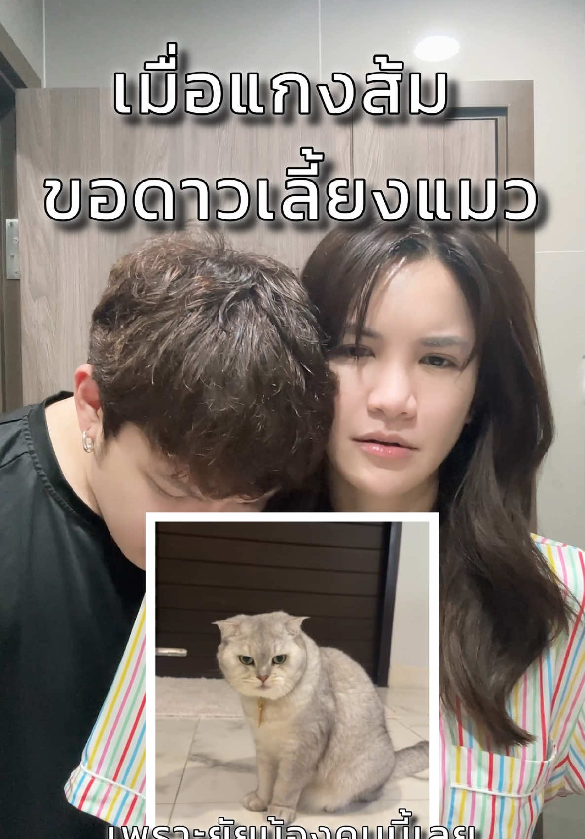 เมื่อแกงส้มอยากเลี้ยงแมว แต่… ดีเจดาว ดาวโอเกะ แกง....